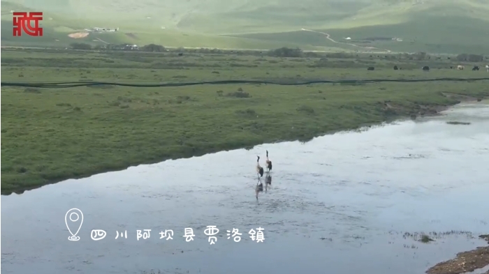 微信截圖_20250616184831.png